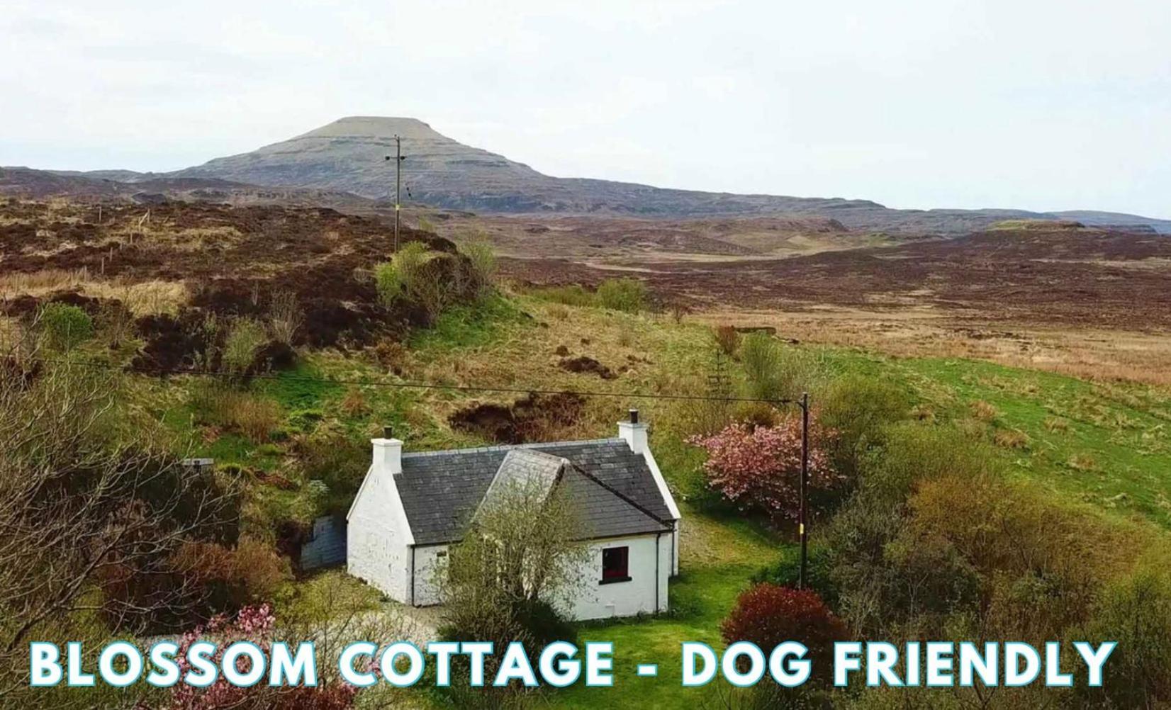 Araucaria Croft Skye Villa Dunvegan  Bagian luar foto