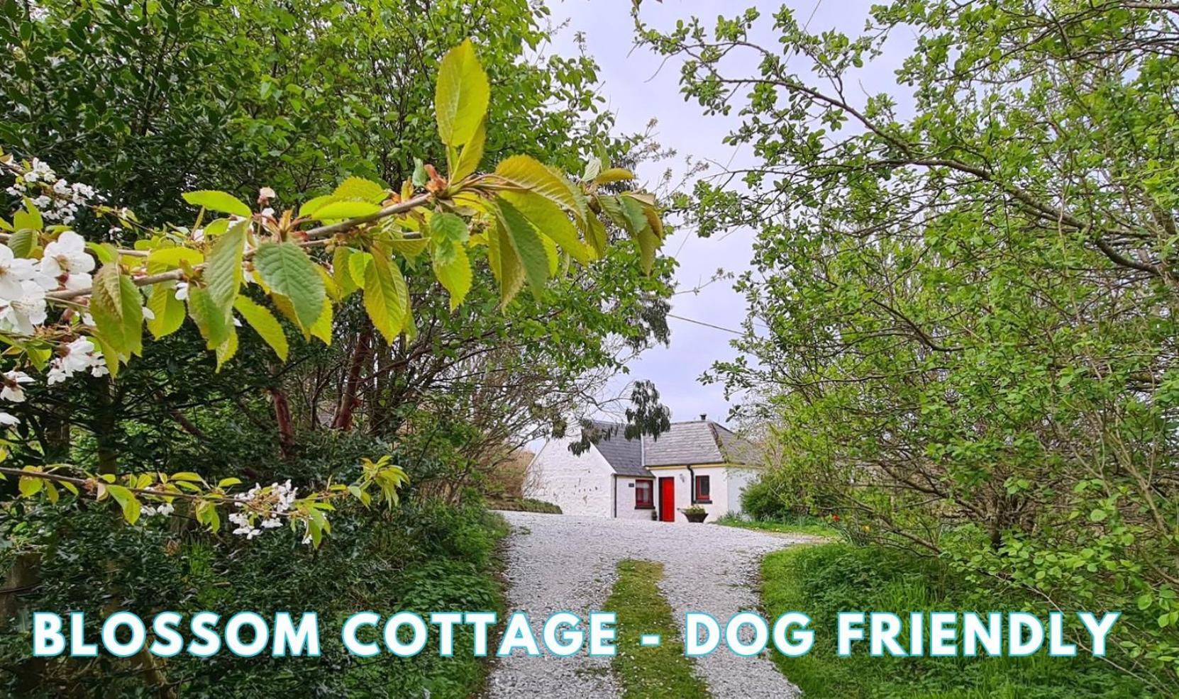 Araucaria Croft Skye Villa Dunvegan  Bagian luar foto